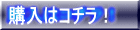 購入はコチラ!